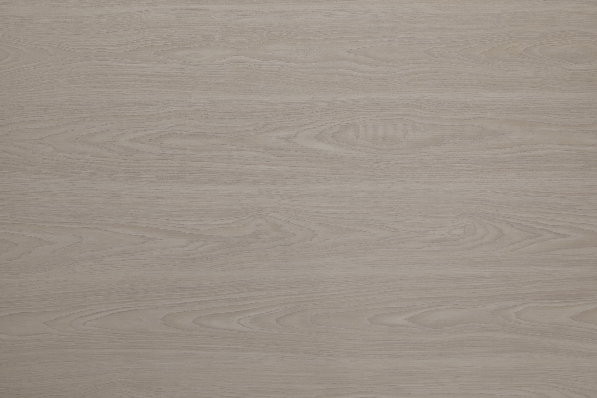 3U5A0780_грецкий орех_ WALNUT 3903-03