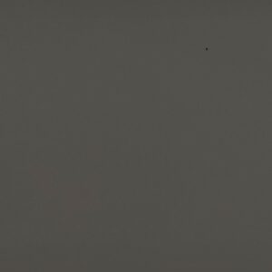 Силк шитаки 51938